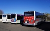 Zu sehen sind eine Reihe parkender Busse von hinten. 