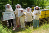 Zu sehen sind fünf Jugendliche in Imker-Schutzkleidung. Sie stehen vor einer Reihe Bienenstöcken.
